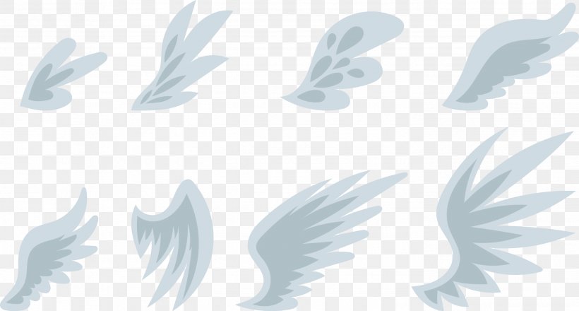 Feather Blue, PNG, 2801x1503px, Feather, Blue, Cartoon, Color, Computer Download Free
