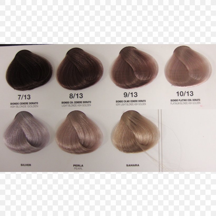 Hair Coloring Long Hair Human Hair Color Artificial Hair Integrations, PNG, 1200x1200px, Hair Coloring, Artificial Hair Integrations, Barber, Blond, Brown Download Free