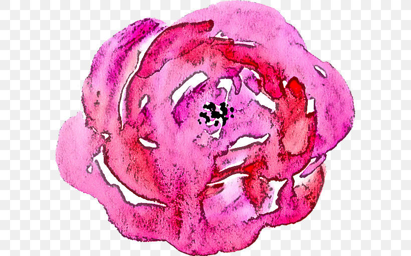 Pink Cabbage Magenta Plant Petal, PNG, 598x512px, Pink, Cabbage, Flower, Magenta, Petal Download Free