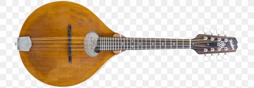 Tiple Acoustic-electric Guitar Bass Guitar, PNG, 890x310px, Tiple, Acoustic Electric Guitar, Acousticelectric Guitar, Bass Guitar, Electric Guitar Download Free