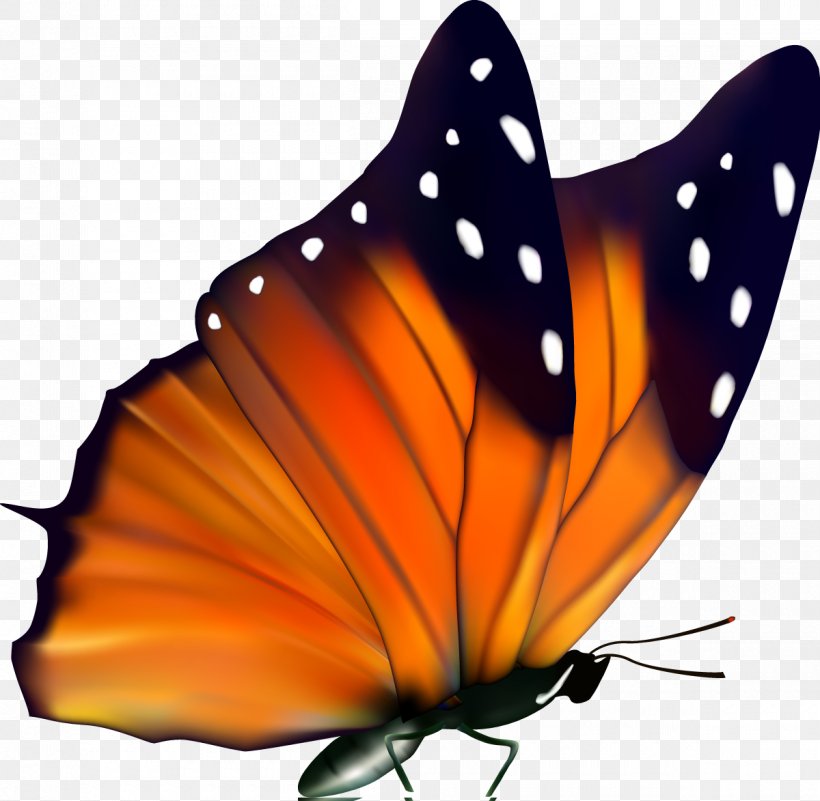 Butterfly Insect Desktop Wallpaper Clip Art, PNG, 1200x1173px, Butterfly, Arthropod, Birdwing, Brush Footed Butterfly, Butterflies And Moths Download Free