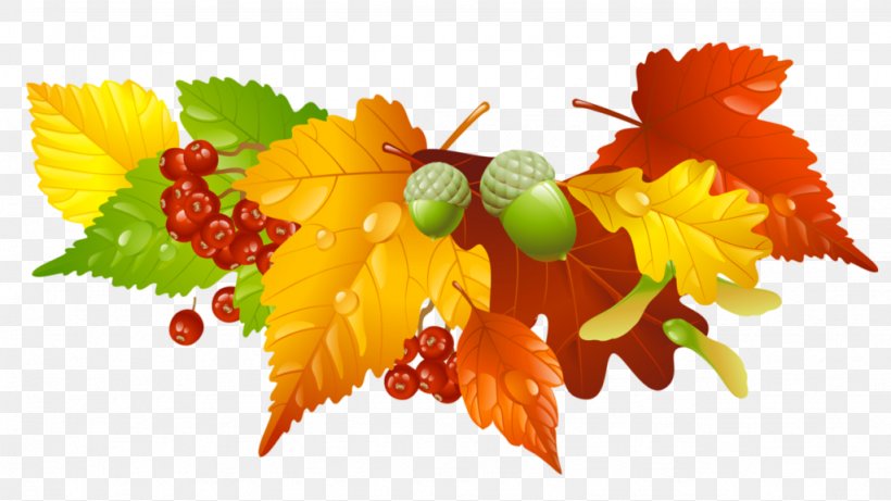 Clip Art, PNG, 1024x576px, Autumn, Autumn Leaf Color, Flower, Fruit, Grapevine Family Download Free
