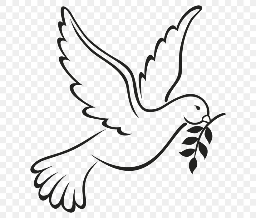 How To Draw Peace Dove  World Peace Day Poster DrawingEasy Pigeon  Drawing  YouTube