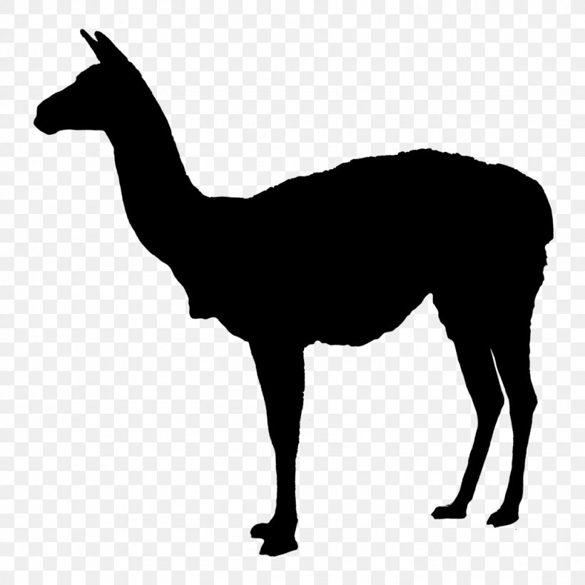 Llama Deer Clip Art, PNG, 1024x1024px, Llama, Autocad Dxf, Black And White, Camel Like Mammal, Deer Download Free