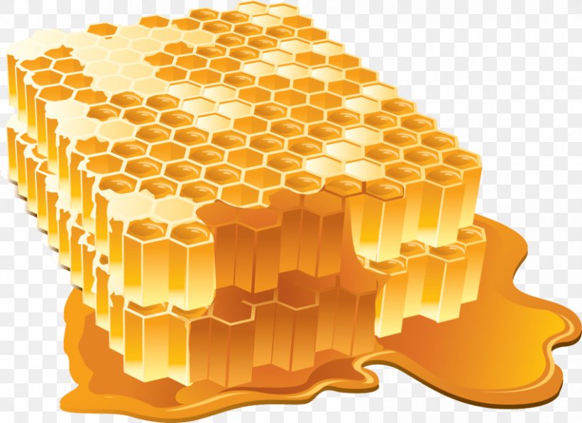Honey Clip Art Bee Adobe Illustrator Artwork, PNG, 850x618px, Honey, Bee, Beekeeping, Food, Honey Bee Download Free