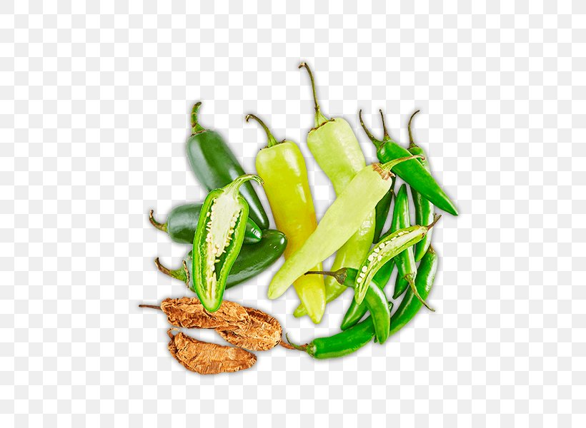 Serrano Pepper Bird's Eye Chili Jalapeño Vegetarian Cuisine Pasilla, PNG, 600x600px, Serrano Pepper, Bell Peppers And Chili Peppers, Capsicum Annuum, Cayenne Pepper, Chili Pepper Download Free