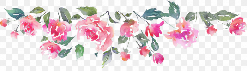 Floral Design, PNG, 1144x331px, Floral Design, Biology, Cut Flowers, Flora, Flower Download Free