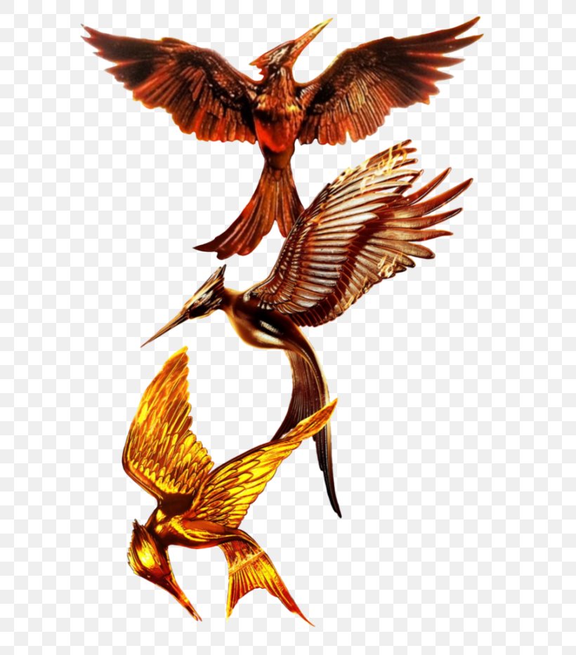 Mockingjay Katniss Everdeen Fictional World Of The Hunger Games YouTube, PNG, 700x933px, Mockingjay, Art, Beak, Bird, Book Download Free