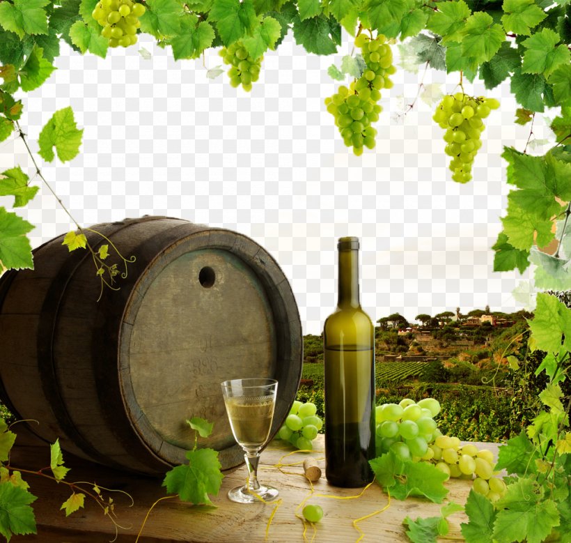 White Wine Common Grape Vine Stock Photography, PNG, 1000x951px, White Wine, Bottle, Common Grape Vine, Depositphotos, Drinkware Download Free