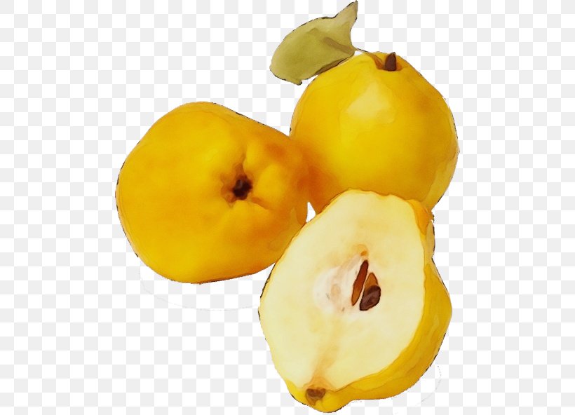 Yellow Fruit Food Plant Natural Foods, PNG, 500x592px, Watercolor, Accessory Fruit, Food, Fruit, Natural Foods Download Free