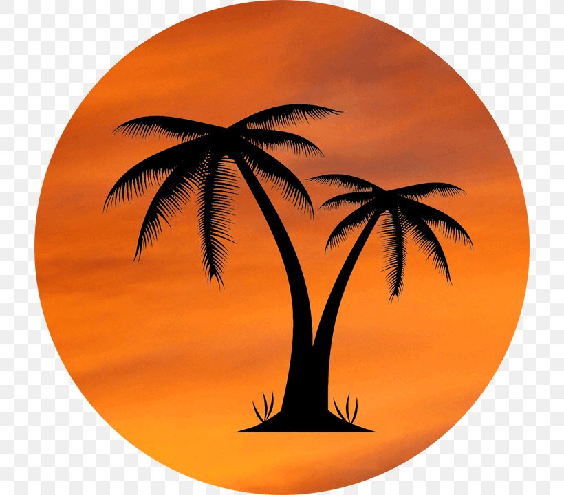 Arecaceae Clip Art, PNG, 720x720px, Arecaceae, Arecales, Logo, Orange, Palm Tree Download Free