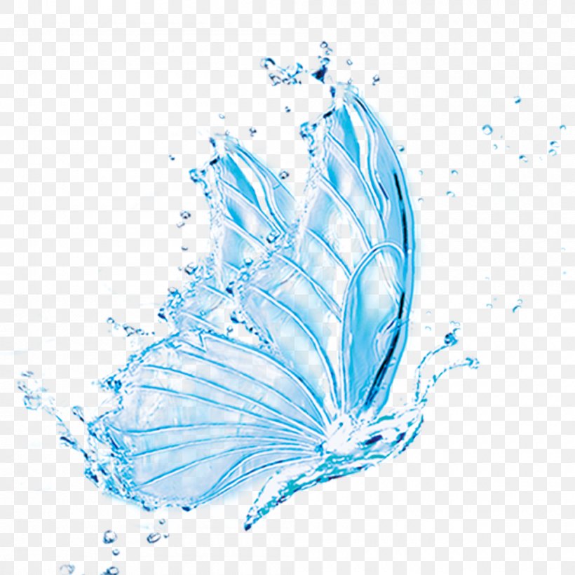 Butterfly Transparency And Translucency, PNG, 1000x1000px, Butterfly, Azure, Blue, Butterfly Effect, Google Images Download Free