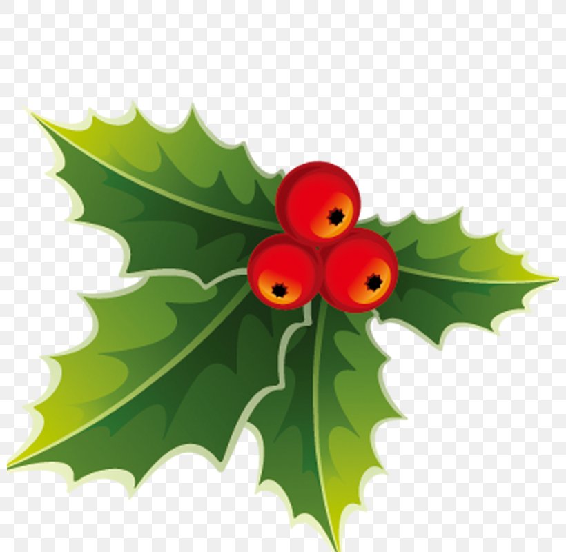 Christmas Download Computer File, PNG, 800x800px, Christmas, Aquifoliaceae, Aquifoliales, Auglis, Flora Download Free