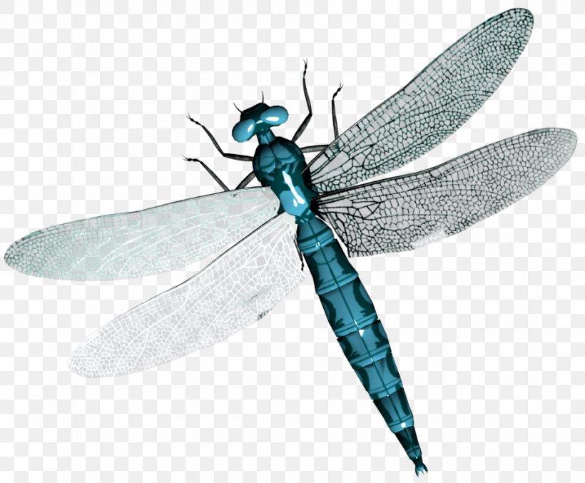 Insect Dragonfly Clip Art, PNG, 952x787px, Insect, Arthropod, Damselflies, Dragonflies And Damseflies, Dragonfly Download Free