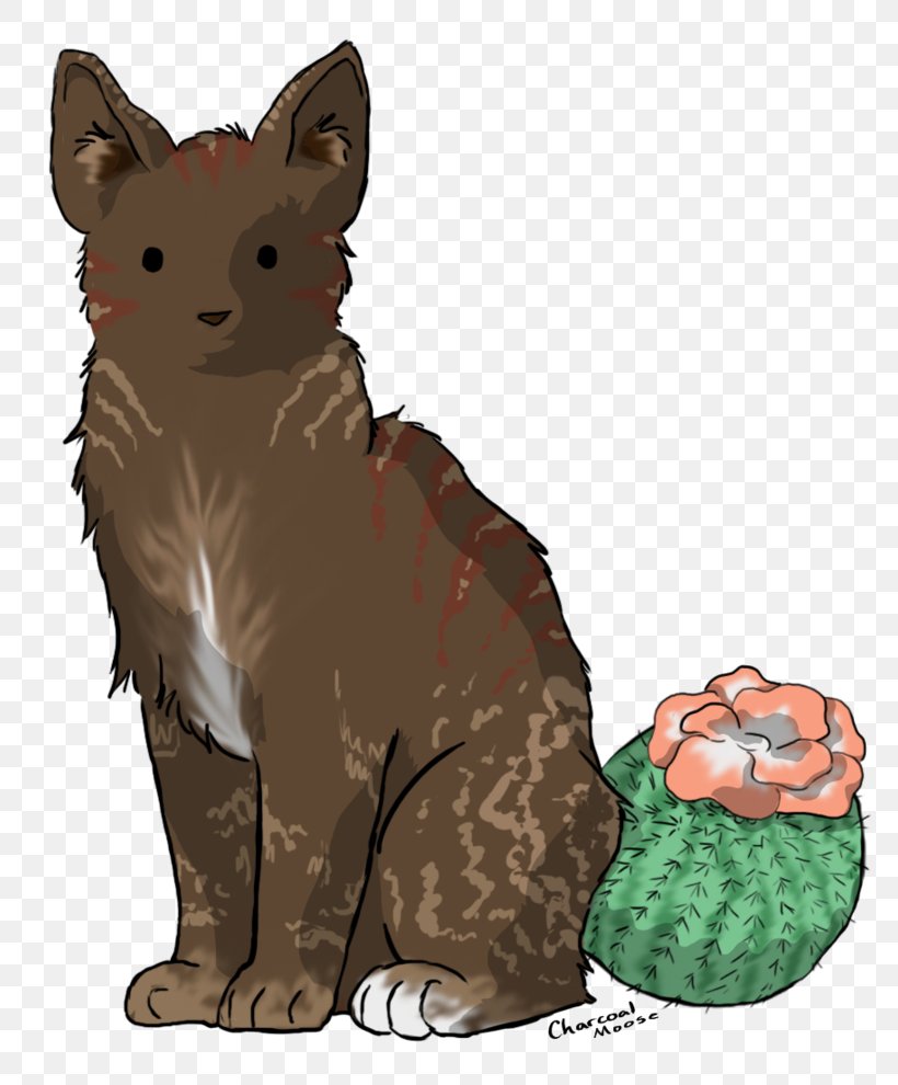 Whiskers Cactus Cat Red Fox, PNG, 808x990px, Whiskers, Cactaceae, Cactus Cat, Carnivoran, Cat Download Free