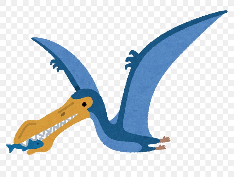 Anhanguera Illustration Cartoon Pterosaurs Beak, PNG, 800x620px, Anhanguera, Babesletza, Beak, Bird, Bookmark Download Free