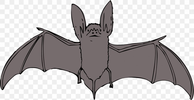 Bat Clip Art, PNG, 1969x1024px, Bat, Baseball Bats, Bat Wing Development, Brown Longeared Bat, Dog Like Mammal Download Free
