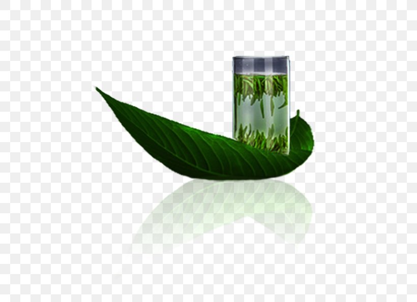 Green Tea Longjing Tea Xinyang Maojian Tea, PNG, 794x595px, Tea, Brand, Camellia Sinensis, Cup, Google Images Download Free