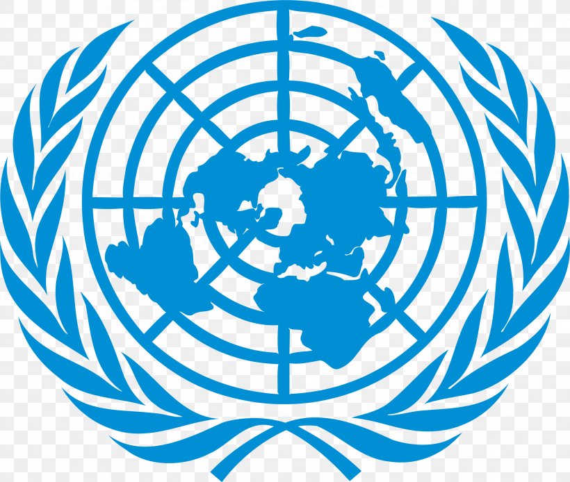 United Nations Office At Geneva Flag Of The United Nations International Organization, PNG, 2261x1916px, United Nations Office At Geneva, Area, Ball, Black And White, Blue Download Free