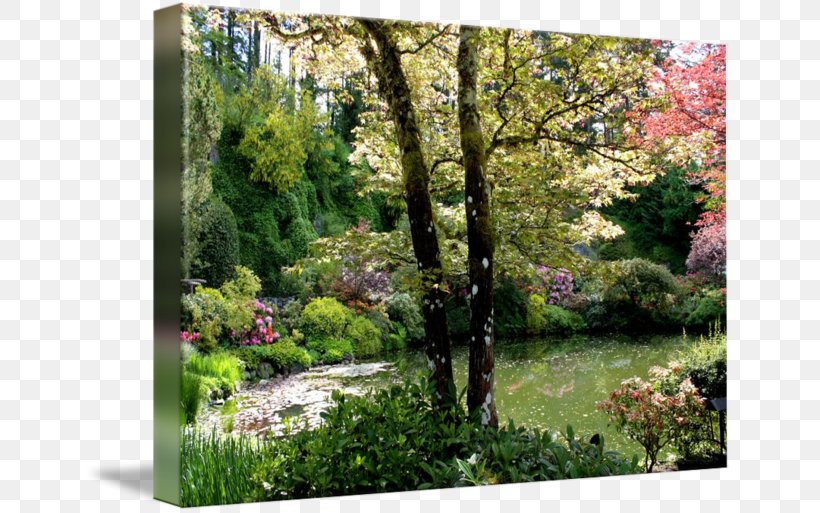 Backyard Garden Pond Gallery Wrap, PNG, 650x513px, Yard, Backyard, Biome, Botanical Garden, Ecosystem Download Free