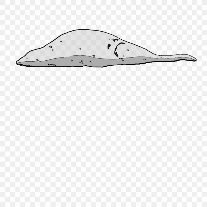 Dolphin Porpoise Marine Mammal Cetacea Footwear, PNG, 1200x1200px, Dolphin, Animal, Black And White, Cetacea, Fish Download Free