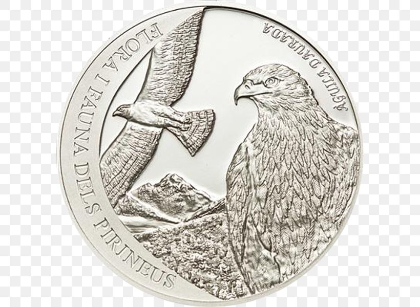 Proof Coinage Numismatics American Silver Eagle Uncirculated Coin, PNG, 600x600px, Coin, American Silver Eagle, Bird, Bird Of Prey, Currency Download Free