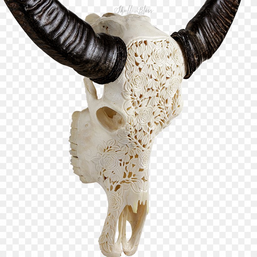 Skull Horn Cattle Carving Art, PNG, 1000x1000px, Skull, Antique, Art, Barbed Wire, Bone Download Free