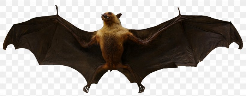 Vampire Bat Animal Mammal European Bat Night, PNG, 3968x1560px, Bat, Animal, Animal Figure, Cattle Like Mammal, Drawing Download Free