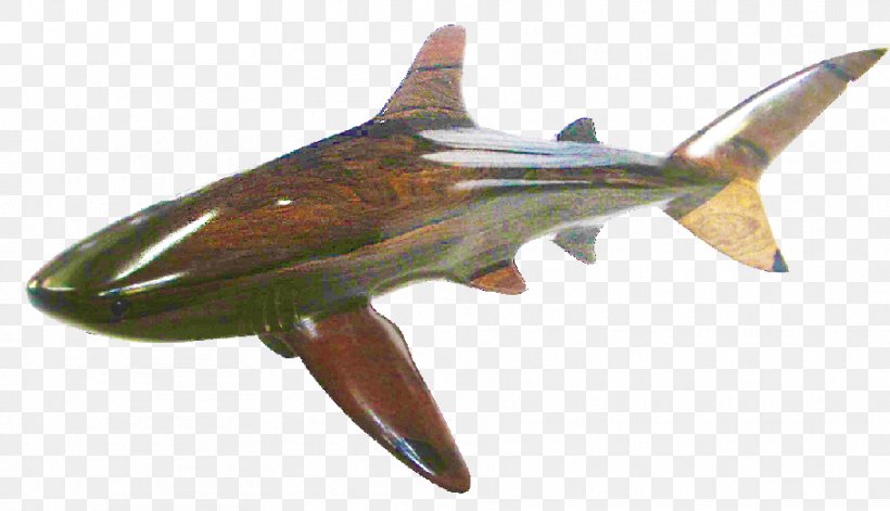 Whale Shark Bull Shark Blacktip Shark Cetacea, PNG, 908x522px, Shark, Art, Blacktip Shark, Bull Shark, Cartilaginous Fish Download Free