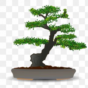 Tree - Bonsai Tree Flowerpot PNG