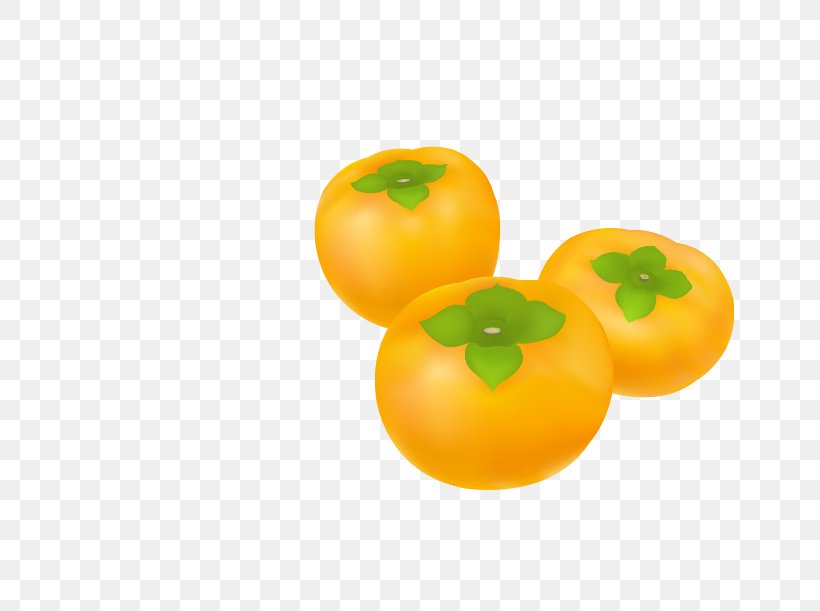 Clementine Persimmon Tangerine Tomato, PNG, 719x611px, Clementine, Citrus, Drawing, Food, Fruit Download Free