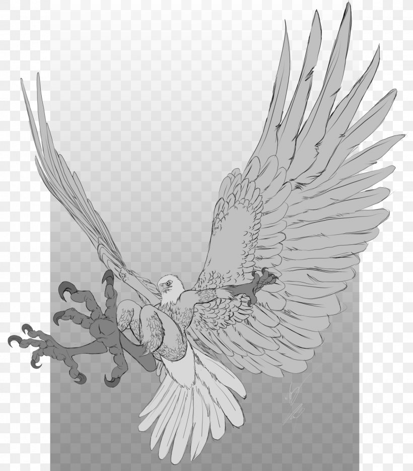 Eagle Drawing Image Sketch Digital Art, PNG, 1600x1825px, Eagle, Animal, Art, Beak, Bird Download Free
