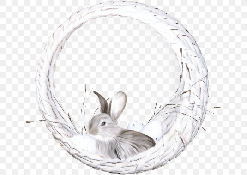 Whiskers Rabbit, PNG, 650x580px, Whiskers, Ear, Hare, Oval, Plate Download Free