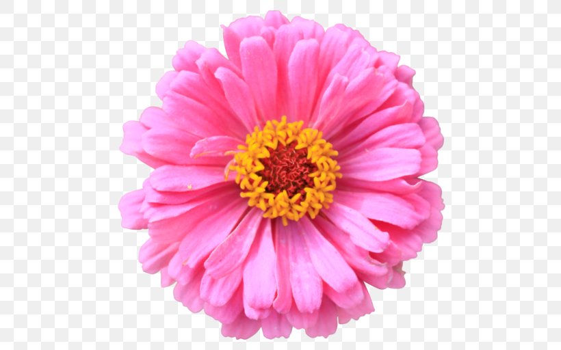 Desktop Wallpaper Flower Clip Art, PNG, 512x512px, Flower, Annual Plant, Aster, Blue, Chrysanths Download Free