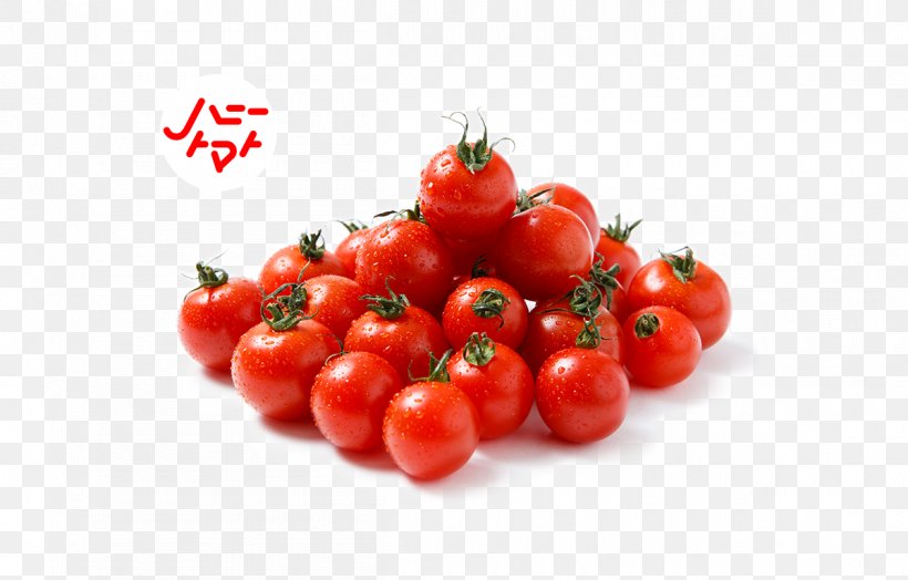 Plum Tomato Bush Tomato Food Vegetarian Cuisine, PNG, 1200x768px, Plum Tomato, Acerola, Acerola Family, Barbados Cherry, Berry Download Free
