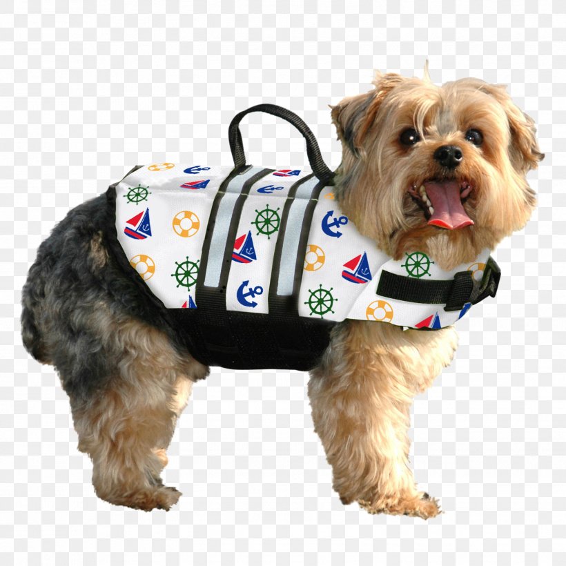 Dog Life Jackets Gilets Pet, PNG, 1627x1627px, Dog, Boating, Clothing, Coat, Companion Dog Download Free