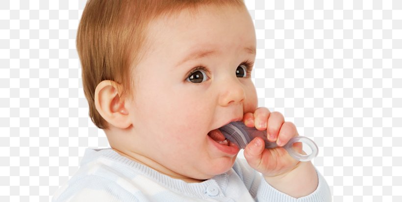 Infant Brush-Baby Chewable Toothbrush & Teether Baby Food, PNG, 610x413px, Infant, Baby Bottles, Baby Food, Brush, Child Download Free