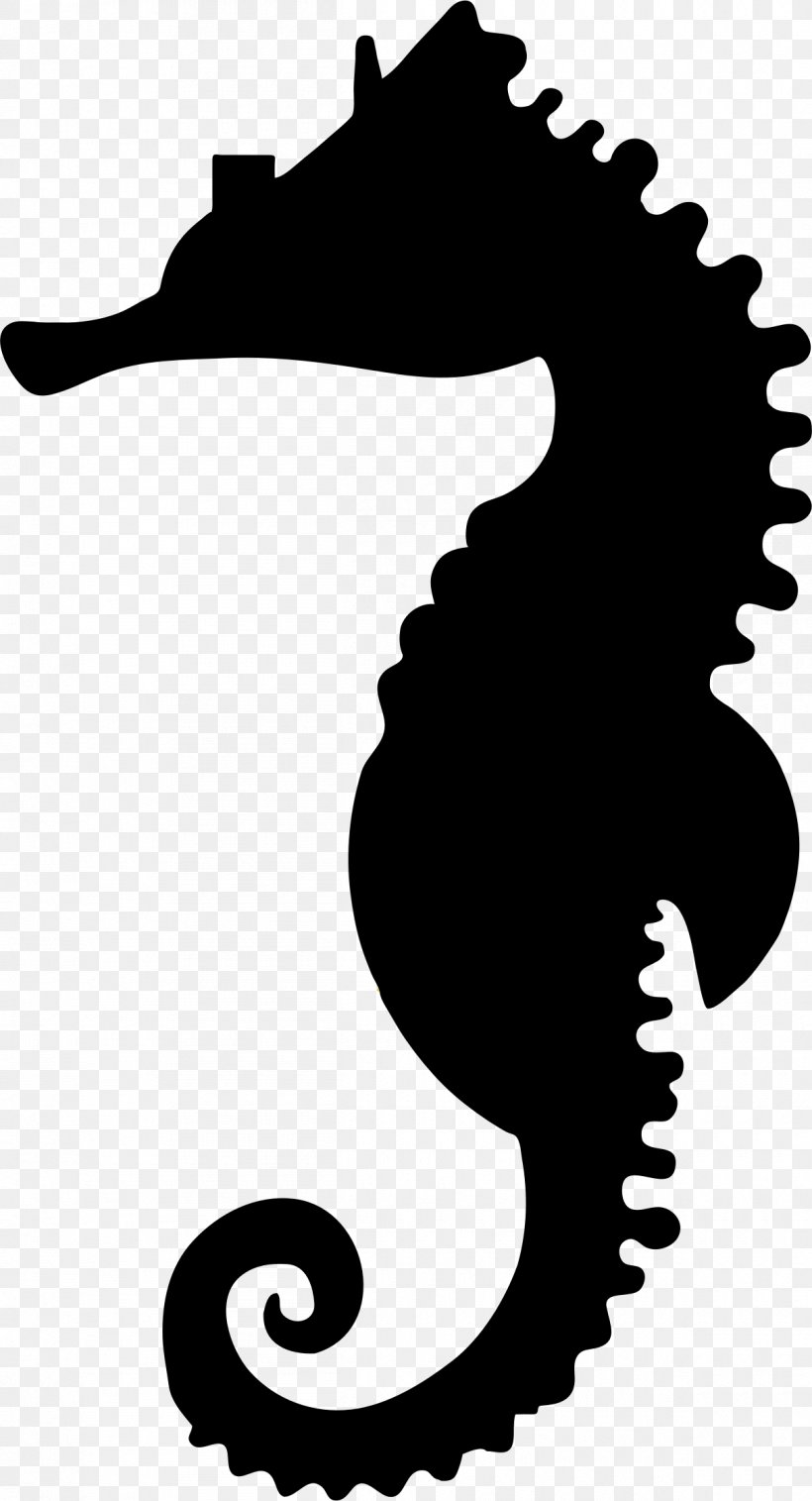 Seahorse Silhouette Clip Art, PNG, 1210x2236px, Seahorse, Artwork, Black, Black And White, Fish Download Free