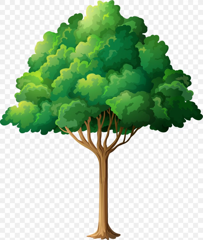 Tree Planting Branch Clip Art, PNG, 1501x1775px, Tree, Branch, Cartoon, Drawing, Grass Download Free