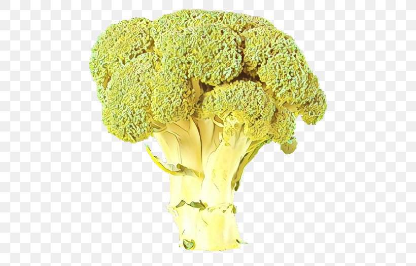 Vegetables Cartoon, PNG, 511x526px, Italica Group, Broccoflower, Broccoli, Cabbage, Cauliflower Download Free