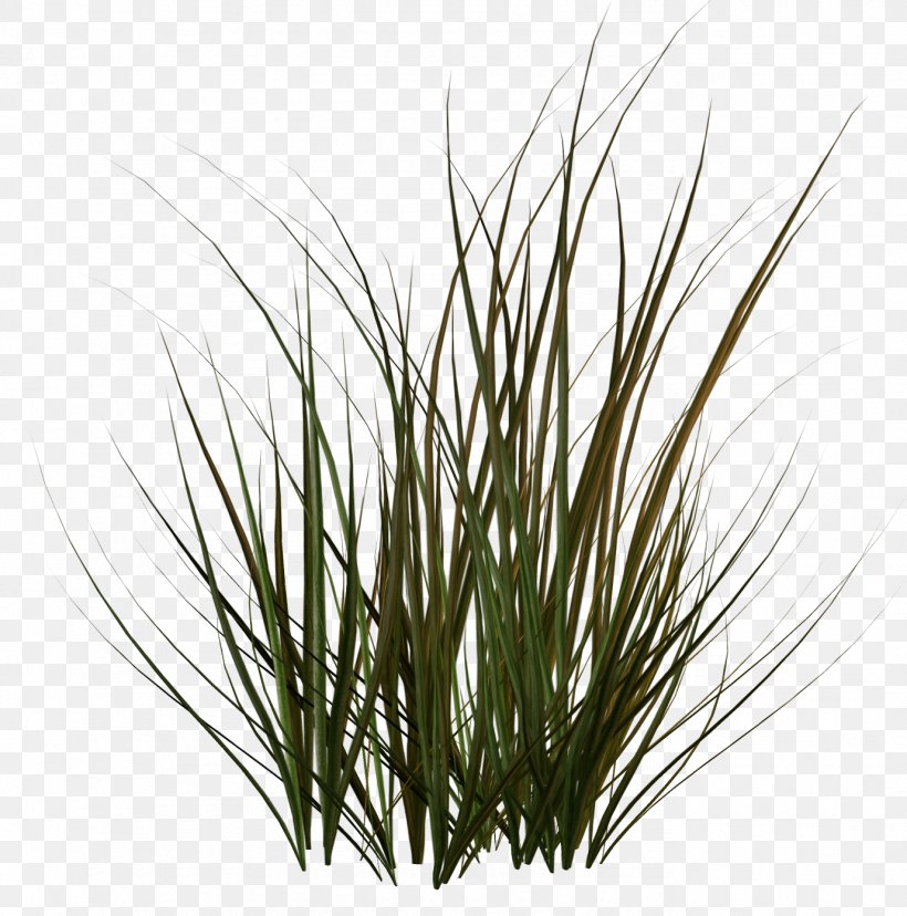 Clip Art, PNG, 1378x1393px, Weed, Advertising, Commodity, Drawing, Grass Download Free