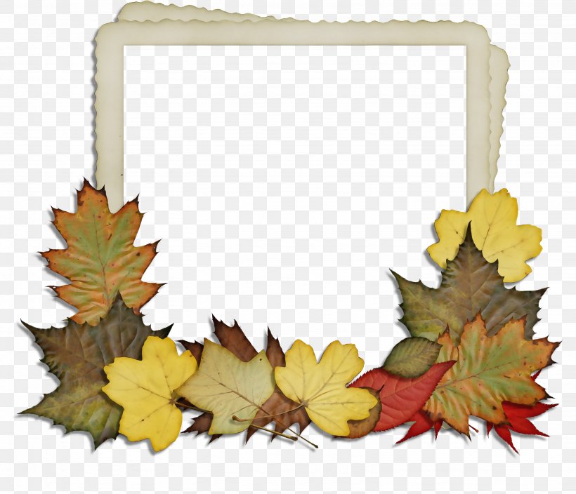 Maple Leaf Picture Frames Flower Image, PNG, 3071x2639px, Maple Leaf, Autumn, Flower, Interior Design, Leaf Download Free