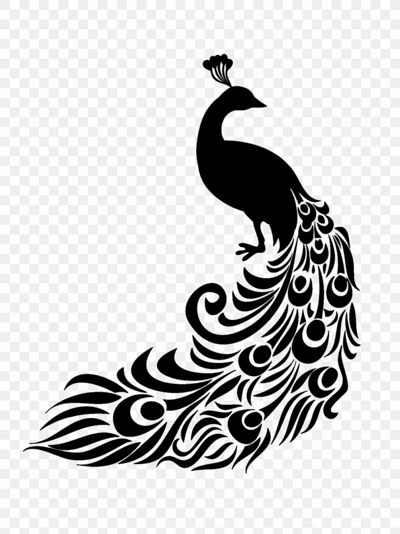 Peafowl Clip Art Stencil Image, PNG, 1024x1365px, Peafowl, Art, Blackandwhite, Drawing, Feather Download Free