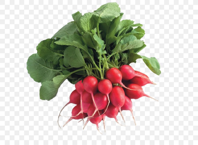 Chard Spring Greens Food Turnip Radish, PNG, 600x600px, Chard, Beet, Beetroot, Diet, Diet Food Download Free