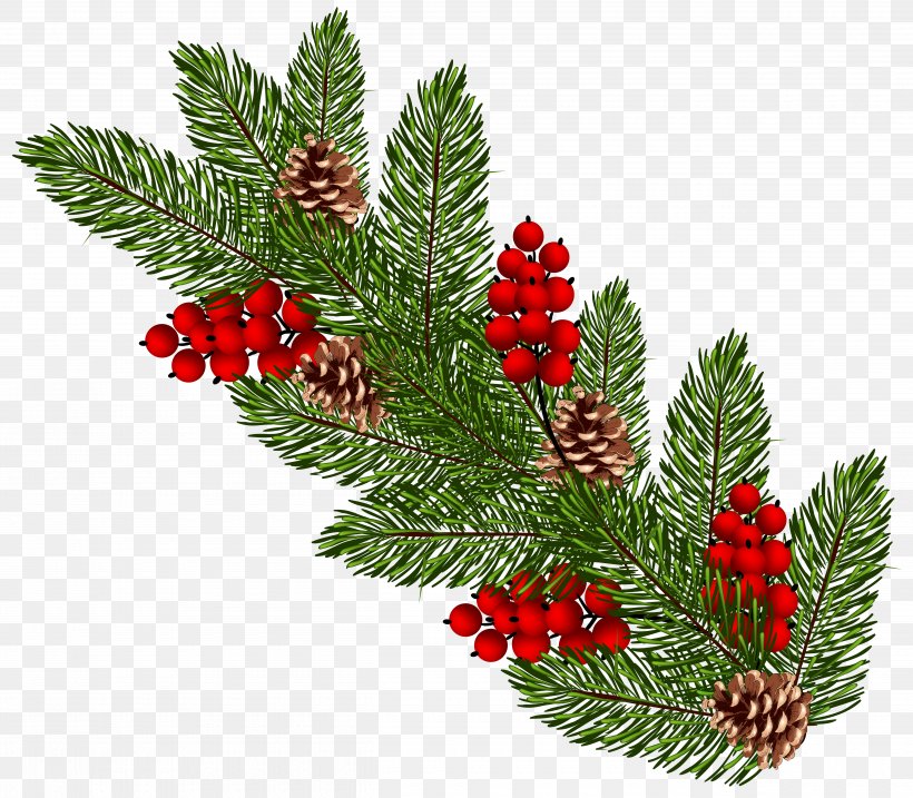 Christmas Ornament Conifer Cone Clip Art, PNG, 5000x4373px, Christmas Ornament, Aquifoliaceae, Branch, Christmas, Christmas Decoration Download Free