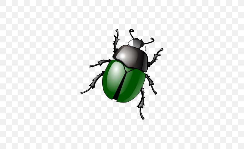 Beetle Free Content Software Bug Clip Art, PNG, 500x500px, Beetle, Aphid, Arthropod, Computer Virus, Fly Download Free