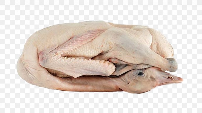 Domestic Goose Roast Goose Yongda Meat Food, PNG, 871x489px, Domestic Goose, Animal Fat, Animal Source Foods, Common Quail, Dog Meat Download Free