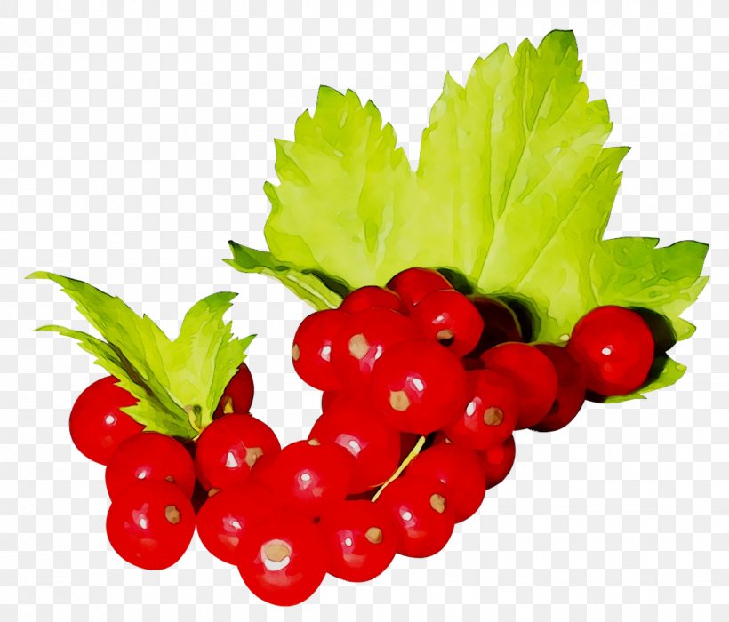 Gooseberry Zante Currant Strawberry Raspberry Cranberry, PNG, 1326x1133px, Gooseberry, Accessory Fruit, Berries, Berry, Blackcurrant Download Free