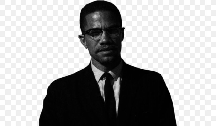 Malcolm X 2020s Religion Worlds Fair Nano Horse, PNG, 525x480px, 2018, Malcolm X, Black And White, Businessperson, Crystal Ball Download Free