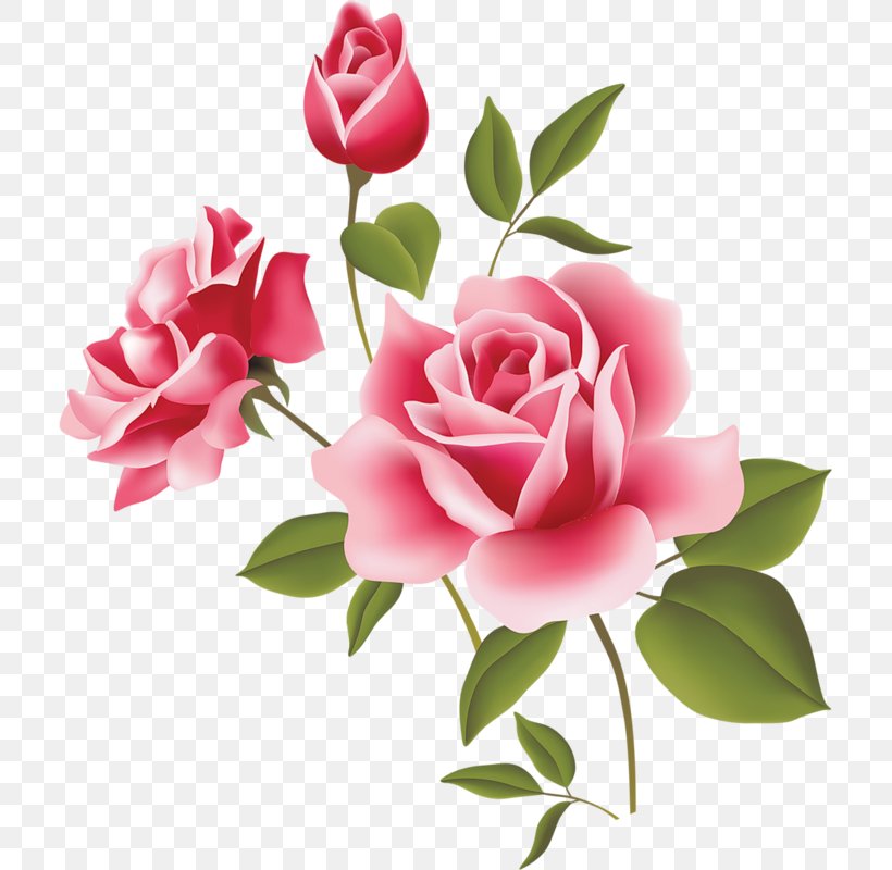 Unconditional Love Otto Florist & Gifts Gratitude Happiness, PNG, 711x800px, Love, Alexander Herzen, Artificial Flower, Babydoll, Cut Flowers Download Free